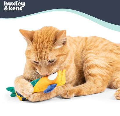Huxley & Kent Cat Toucan Nipper