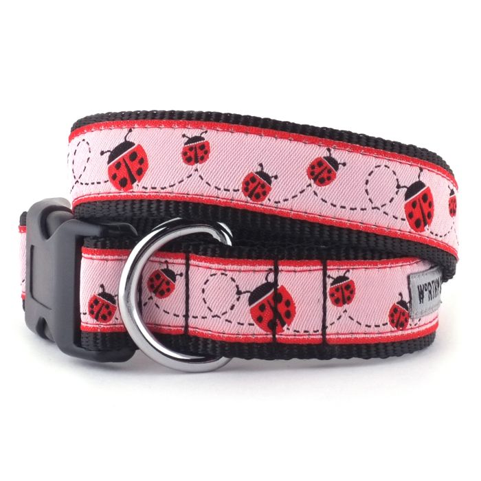 The Worthy Dog Collar Ladybug