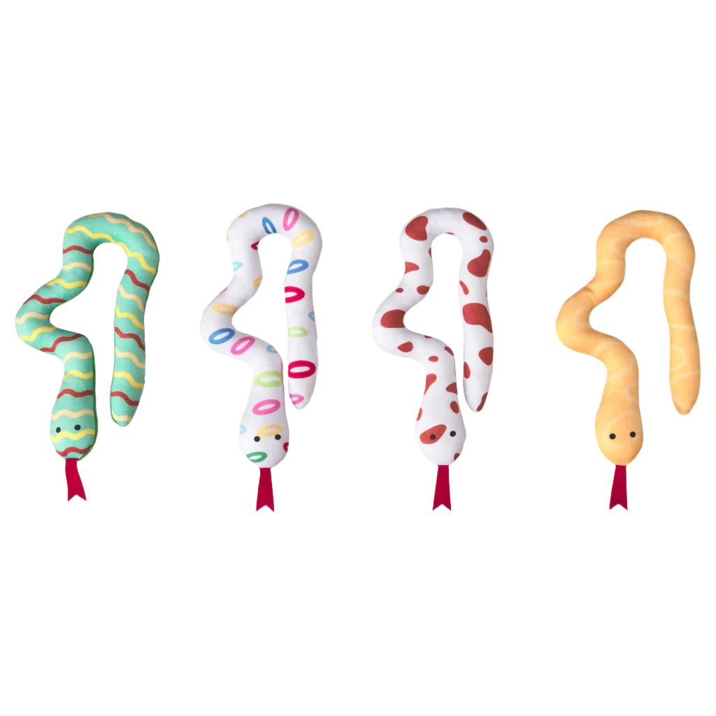 Spot Squiggly Snake