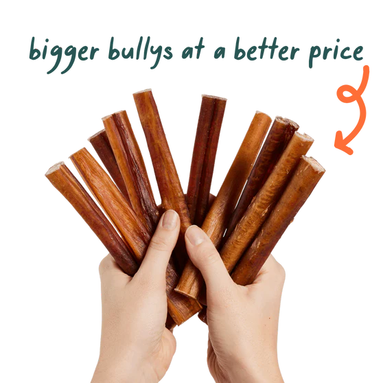 Woof BullySafe Bully Sticks 6"