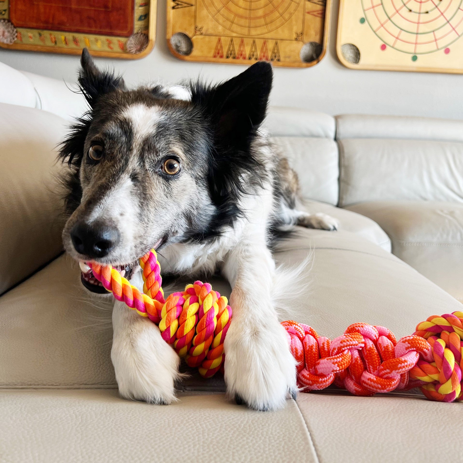 Kong Bunji Rope