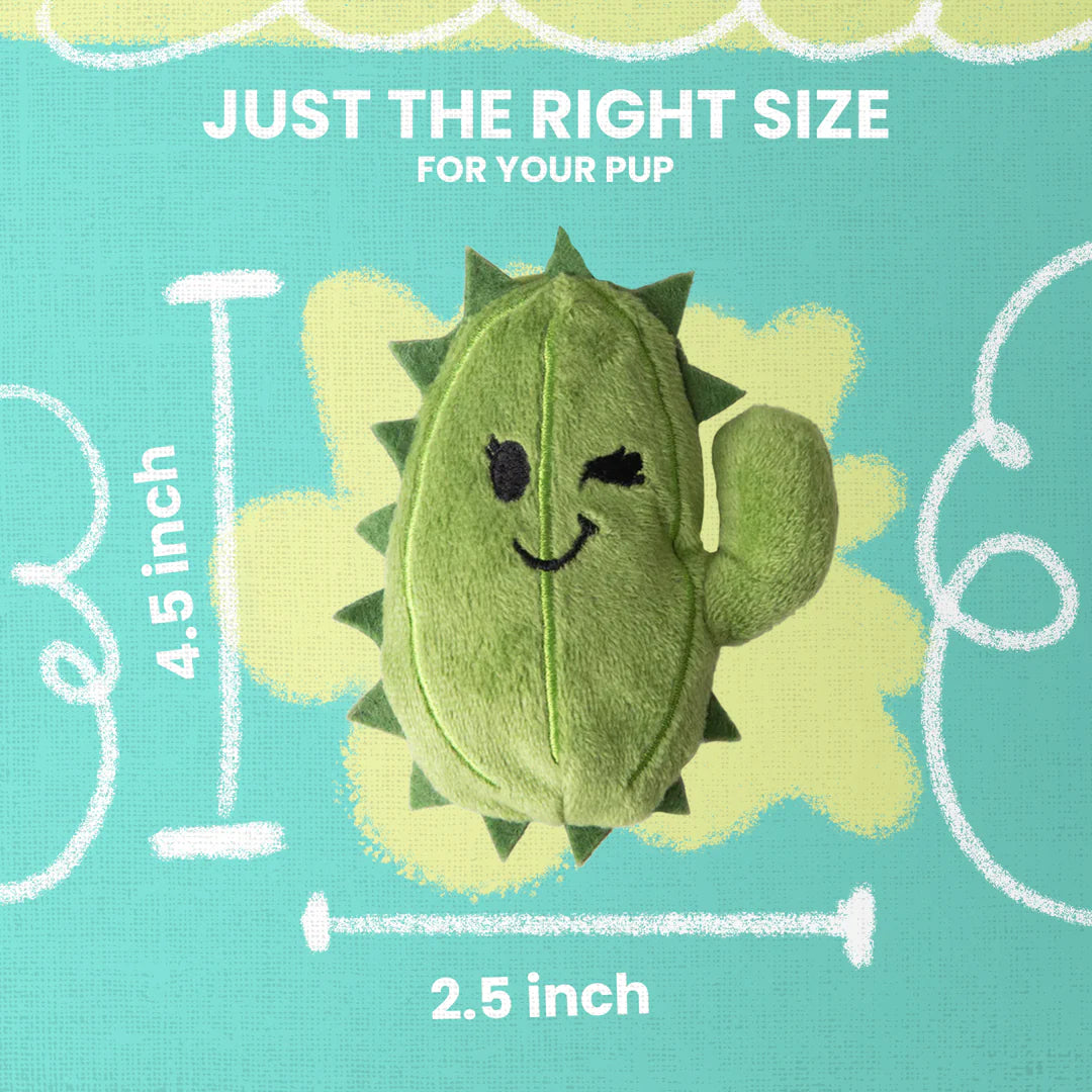 Snugarooz Baby Chloe the Cactus Plush