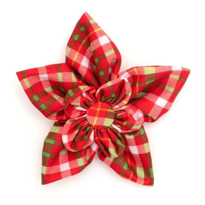 The Worthy Dog Flower Holiday Plaid