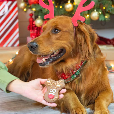 Bosco & Roxy's Merry Woofmas Reindeer Cookie