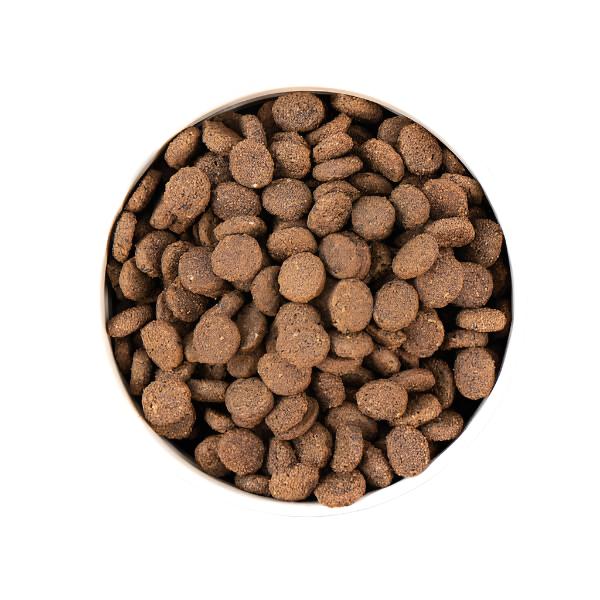 Earthborn Unrefined Smoked Salmon & Ancient Grains