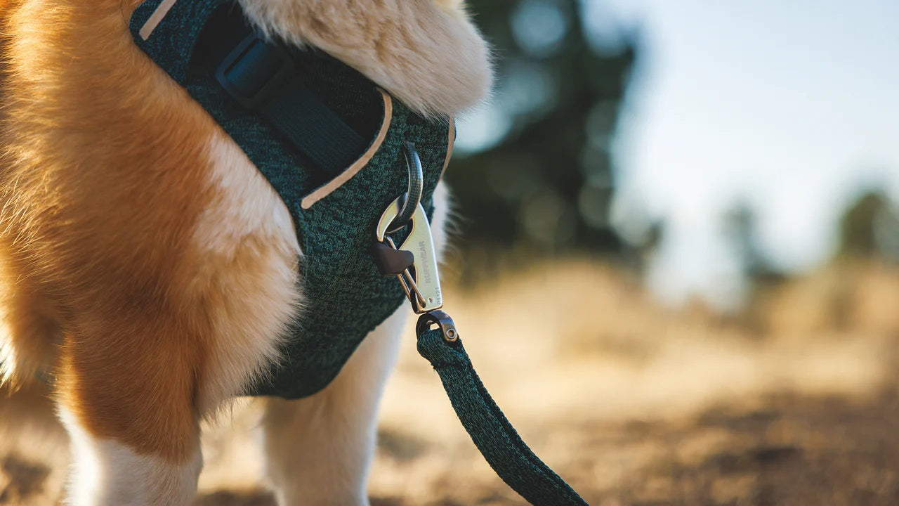 Ruffwear Front Range™ Flex Leash