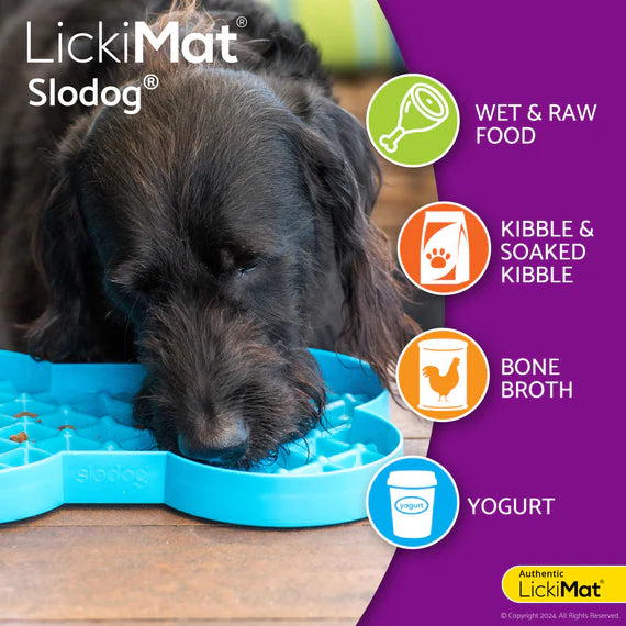 Lickimat SloDog Slow Feeder Plate