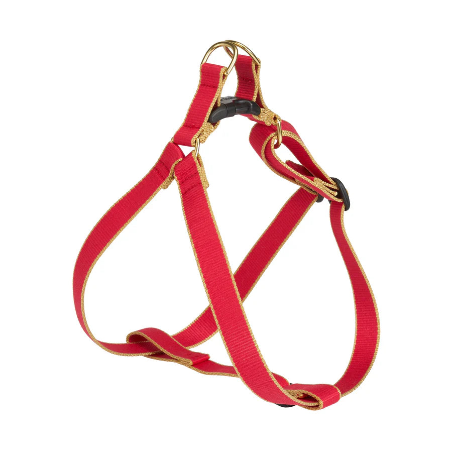 Up Country Color Market Harness