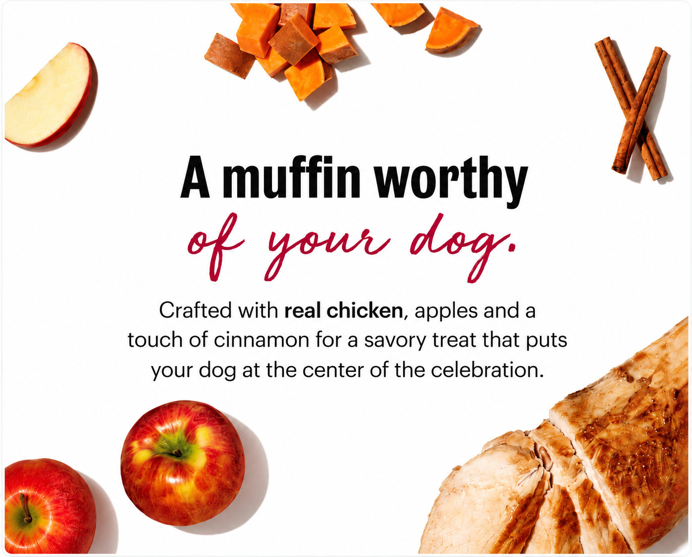 Honest Kitchen Dog Muffin Mix with Chicken, Apple & Cinnamon