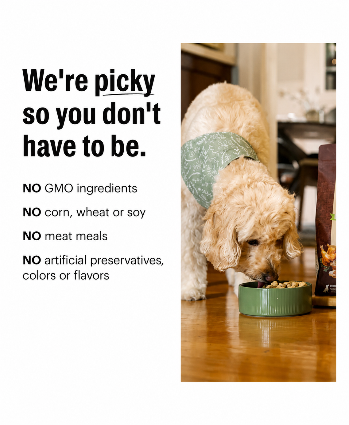 Honest Kitchen Protein Plus Fish with Superfoods Dehydrated Dog Food Topper