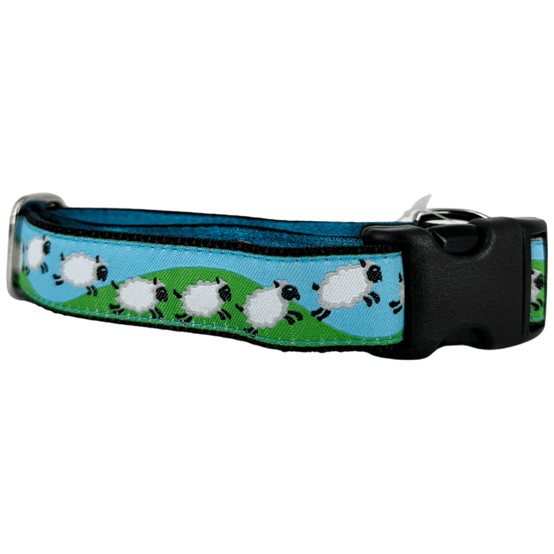 Mackenzie Collar BAA