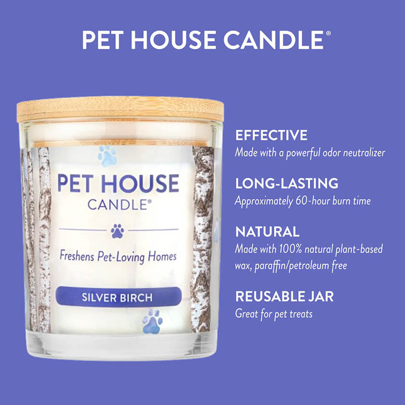 One Fur All Pet House Candle - Silver Birch