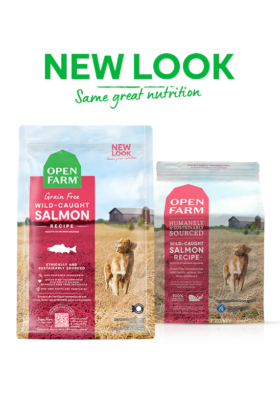 Open Farm Grain-Free Wild-Caught Salmon