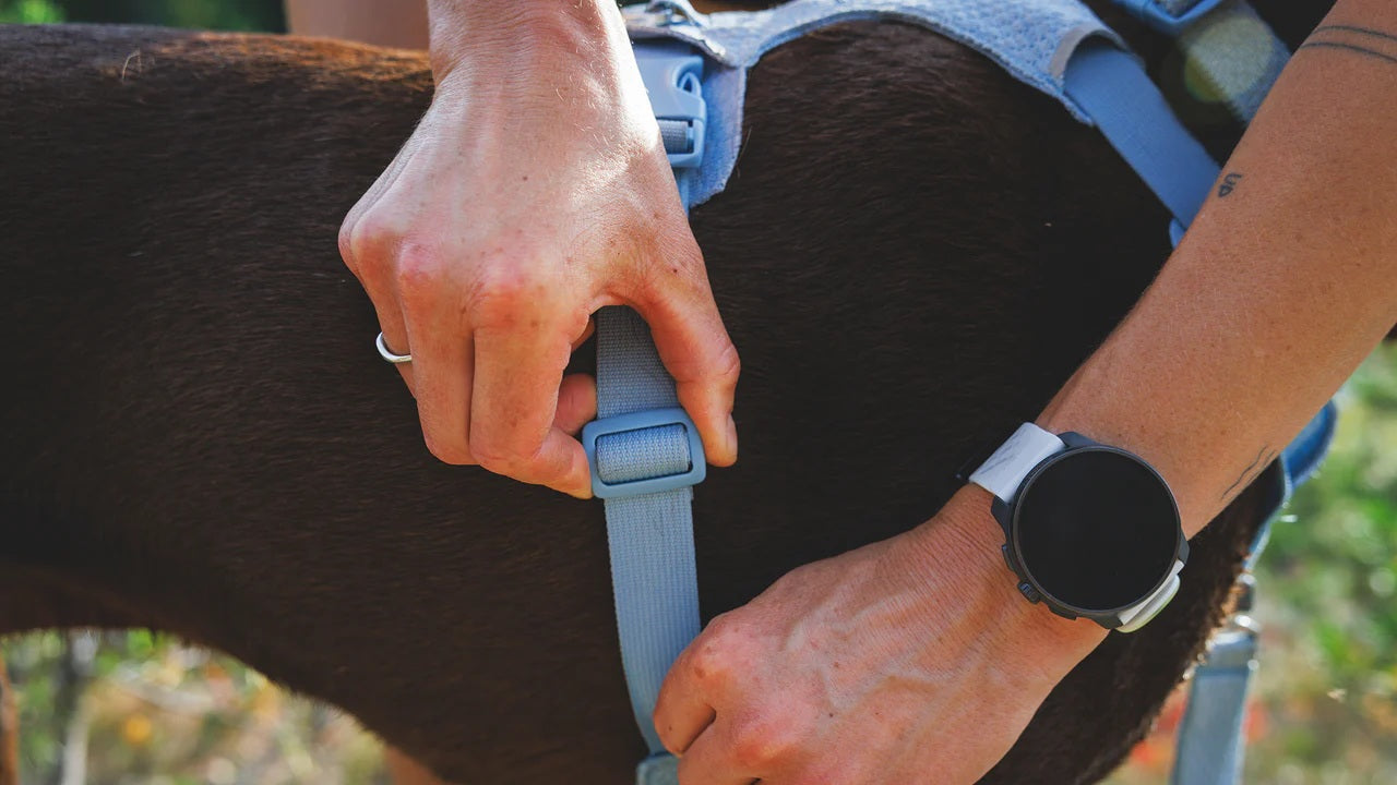 Ruffwear Front Range® Flex Harness
