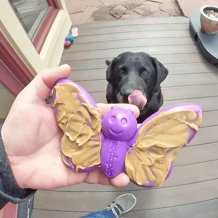 Soda Pup Nylon Butterfly Chew & Enrichment Toy
