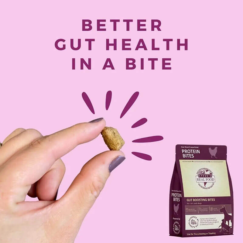 Steve's Freeze-Dried Gut Boosting Protein Bites Chicken