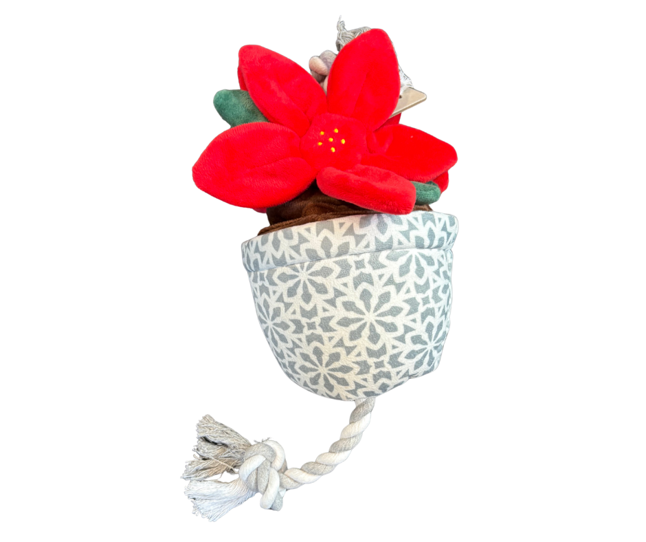 Tails Holiday Tug and Treat Poinsettia