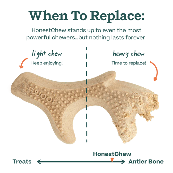 Woof HonestChew Antler Bone