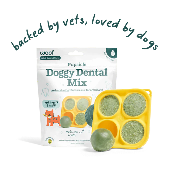 Woof Pupsicle Mix Dental