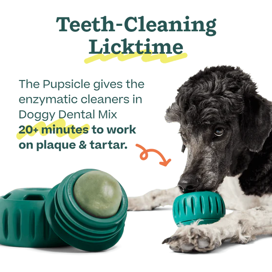 Woof Pupsicle Mix Dental