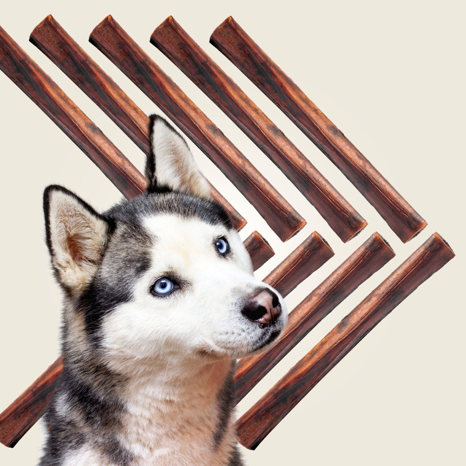 Roam Pet Smoked Ostrich Marrow Bone Large