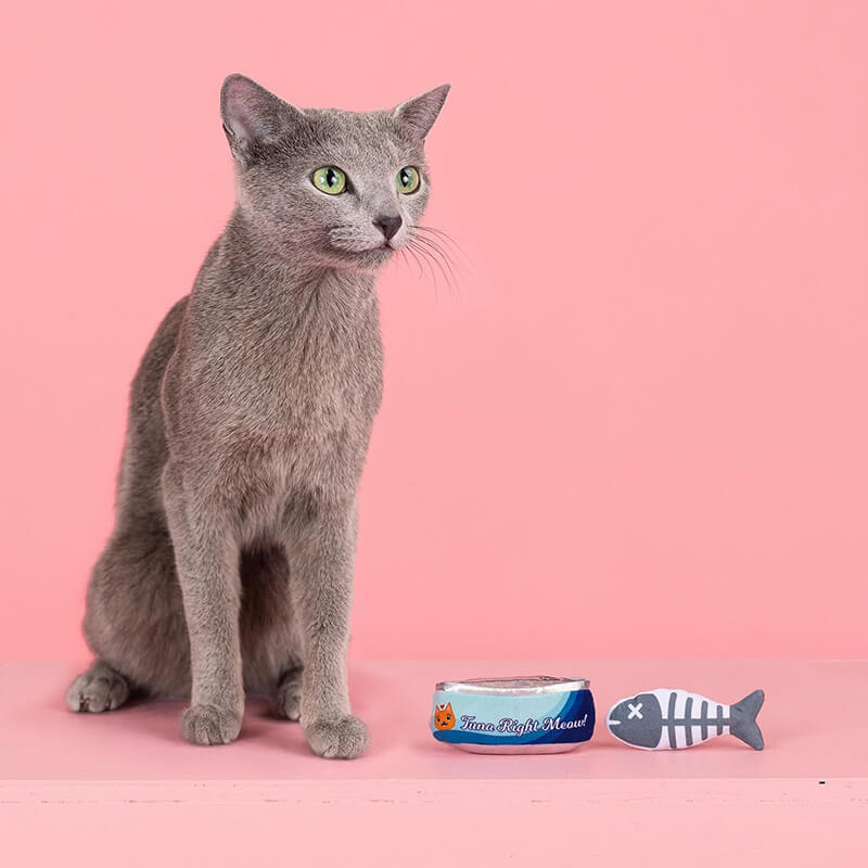 Fringe Studio Tuna Right Meows Cat Toy Set