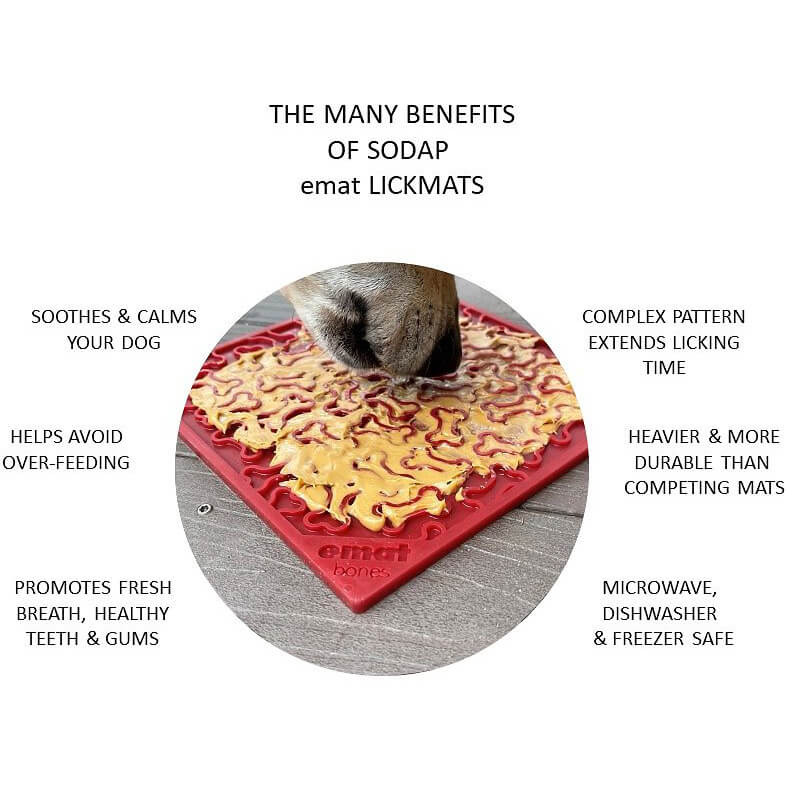 Sodapup Bones Lick Mat