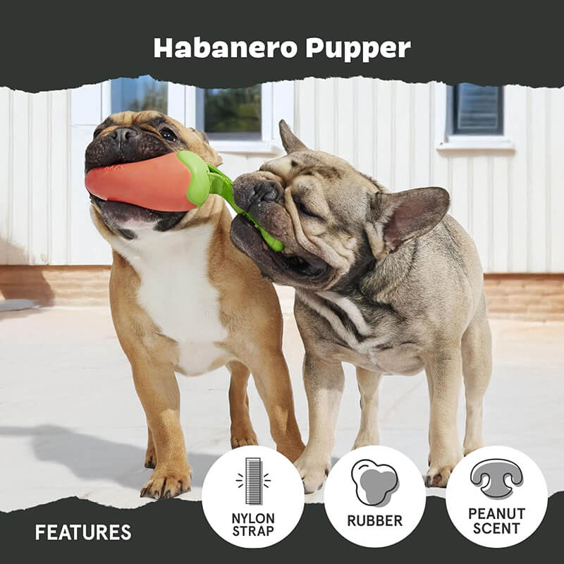 BARK Super Chewer Habanero Pupper