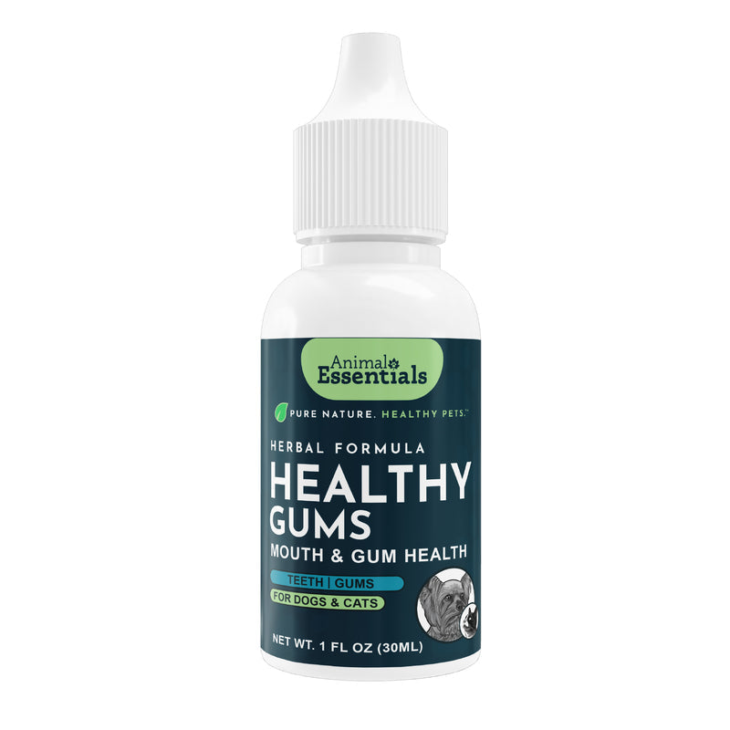 Animal Essentials Healthy Gums for Dogs & Cats
