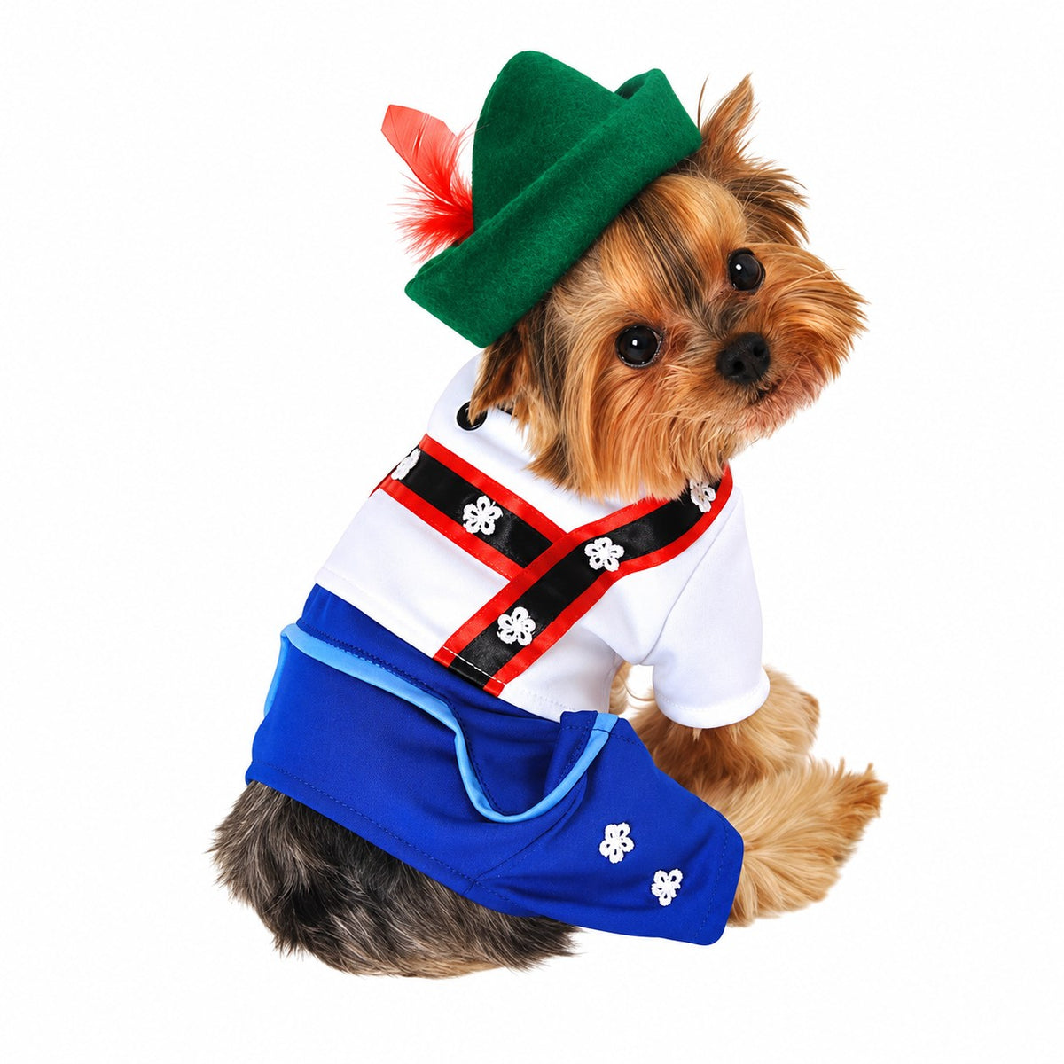 Anit Bavarian Lederhosen Halloween Costume