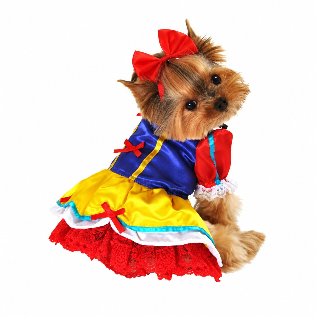 Anit Enchanted Snow Princess Halloween Costume
