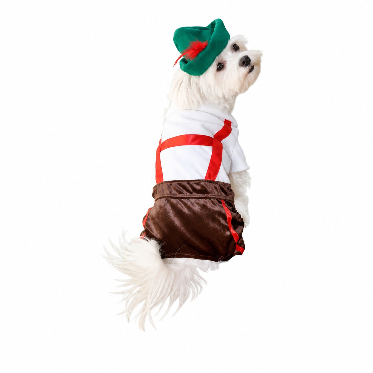 Anit Lederhosen Halloween Costume