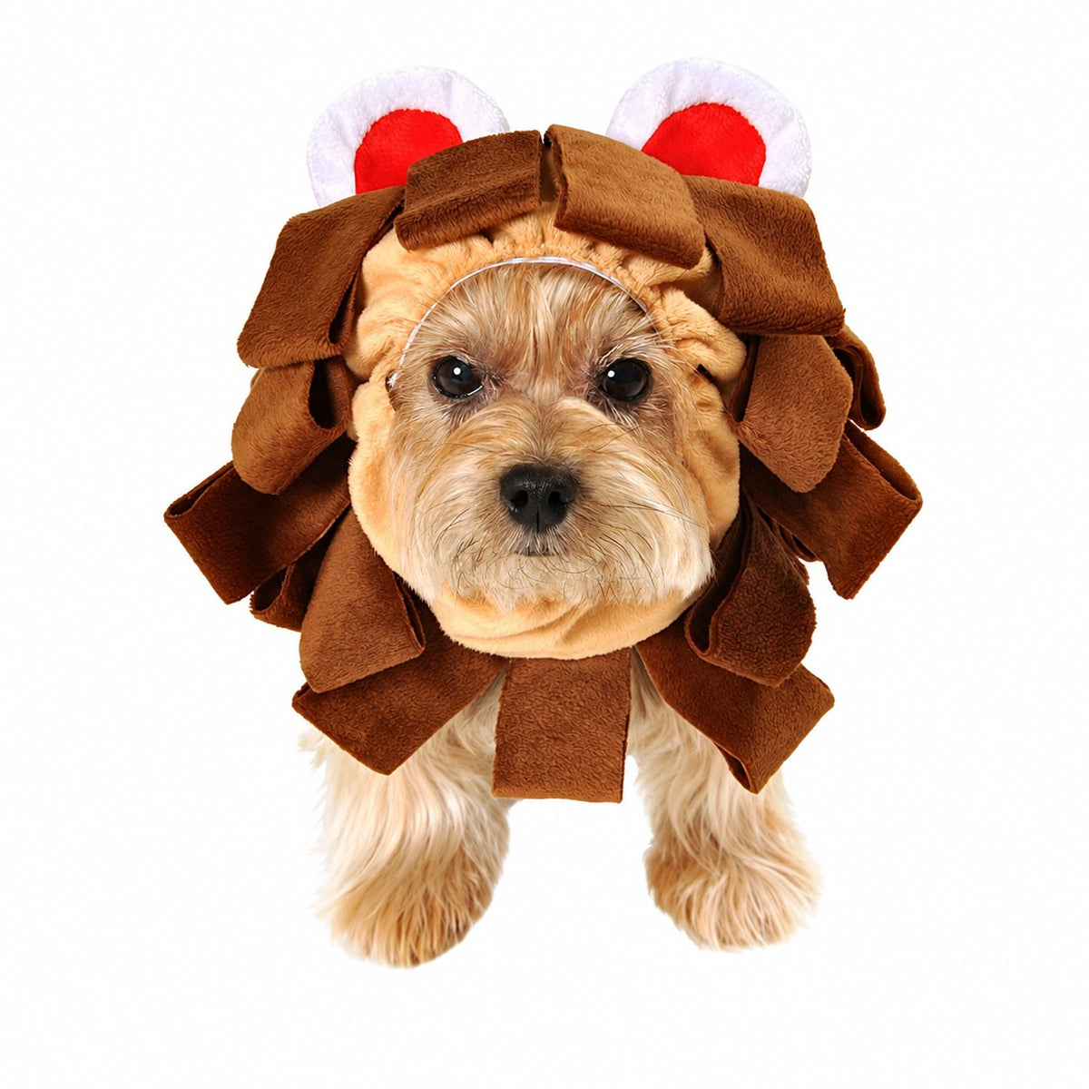 Anit Lion Head Halloween Costume