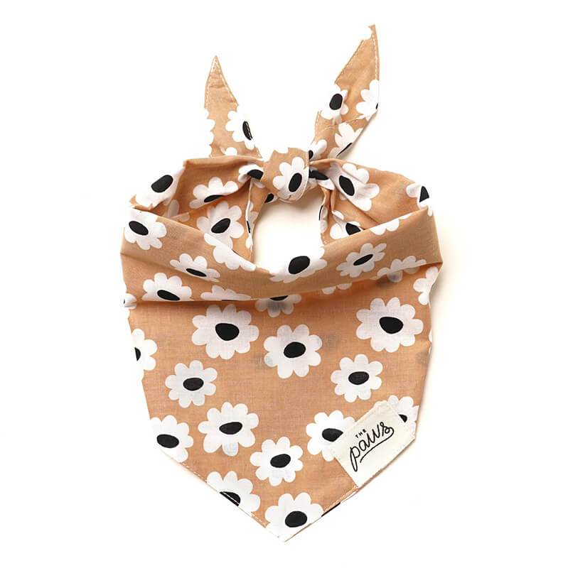 The Paws Bandana - Sierra Daisies