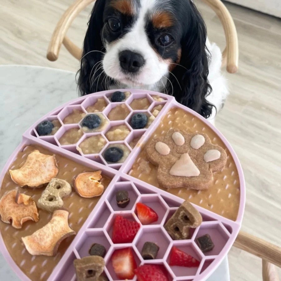 Bark Bistro Limited Edition Cheeseburger Buddy Budder