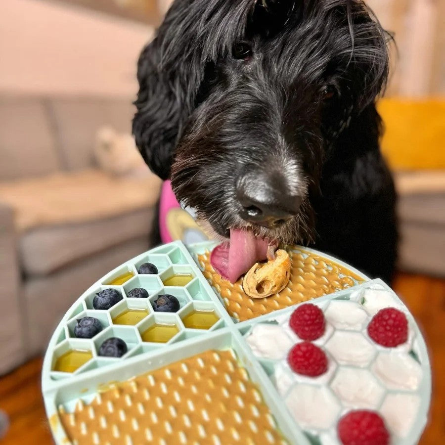 Bark Bistro Limited Edition Cheeseburger Buddy Budder