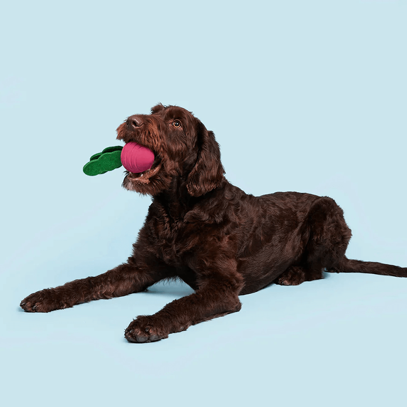 BARK Super Chewer Turnt Up Turnip