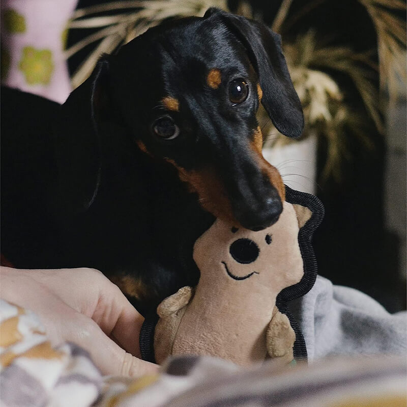 Beco Rough & Tough Recycled Toy Quokka