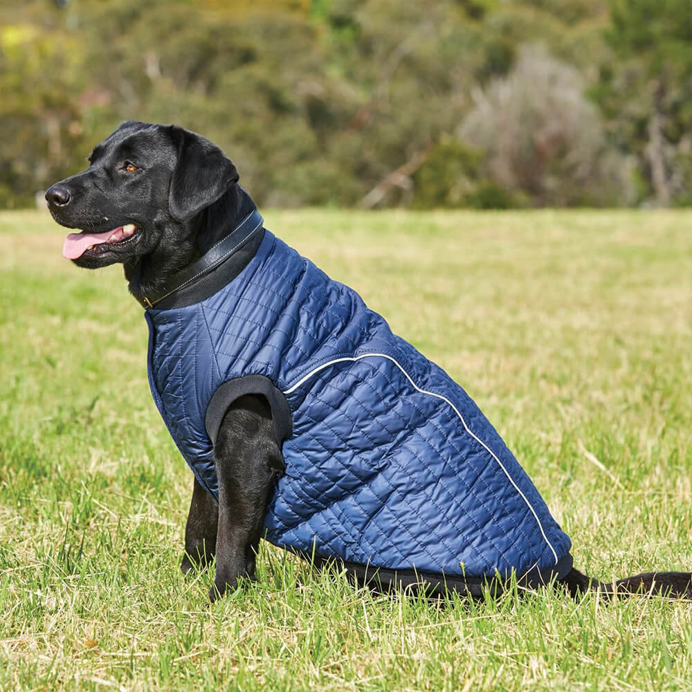 Weatherbeeta Puffer Dog Coat