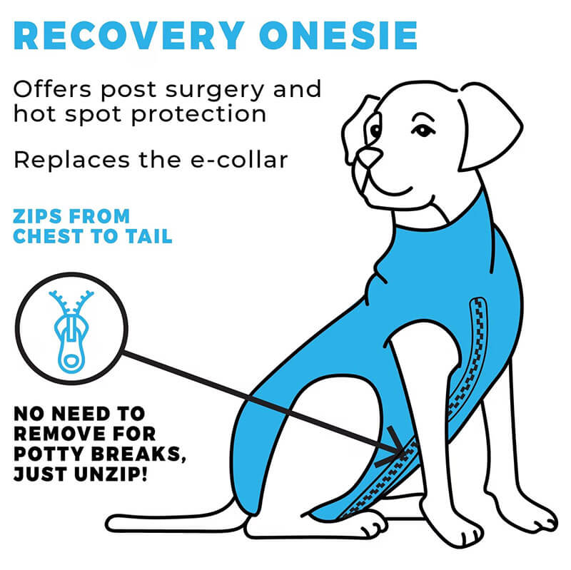 Shed Defender Post Surgery Recovery Suit