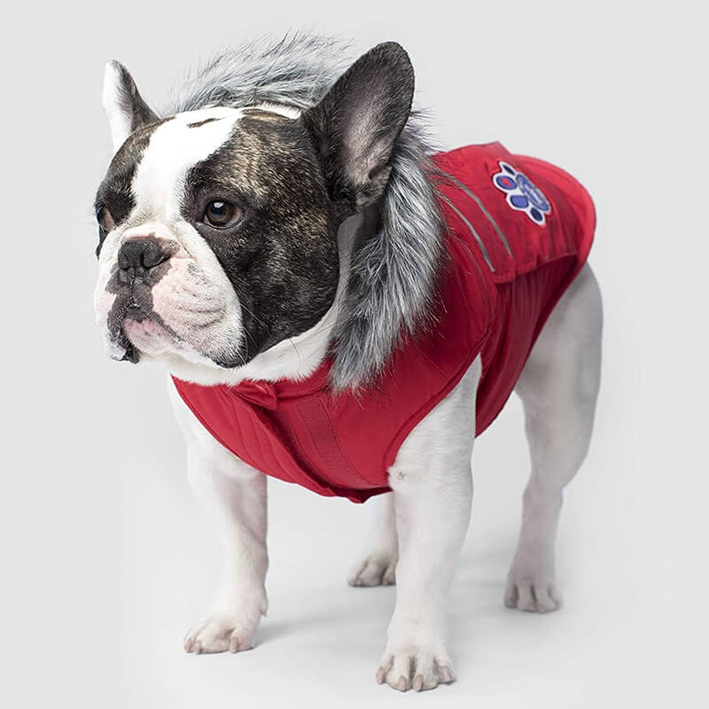 Canada Pooch Everest Explorer Jacket Red 20