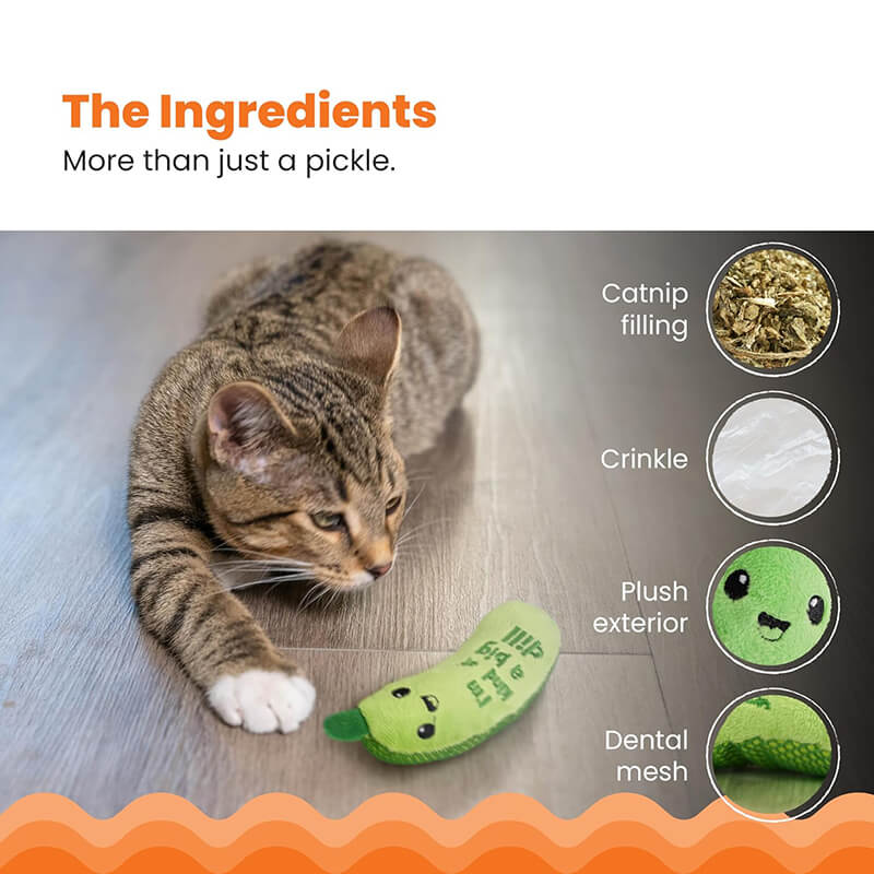 Catstages Crunchy Pickle Kicker