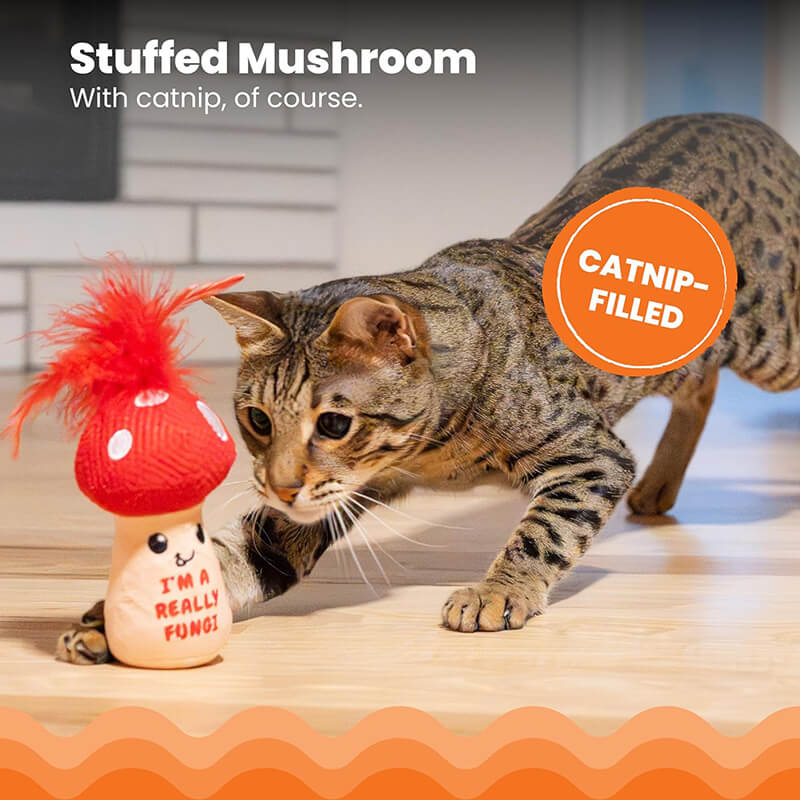 Catstages Mushroom Kicker Catnip Toy