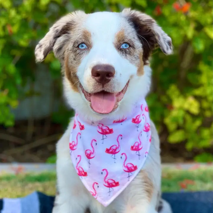 Bibby Bubby Bandana - Blue Pineapples