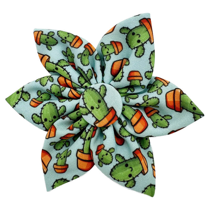 Huxley & Kent Pinwheel Prickly Cactus