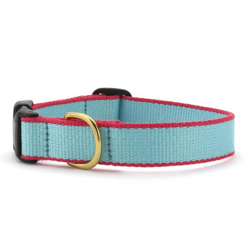 Country Collar Color Market Aqua & Coral