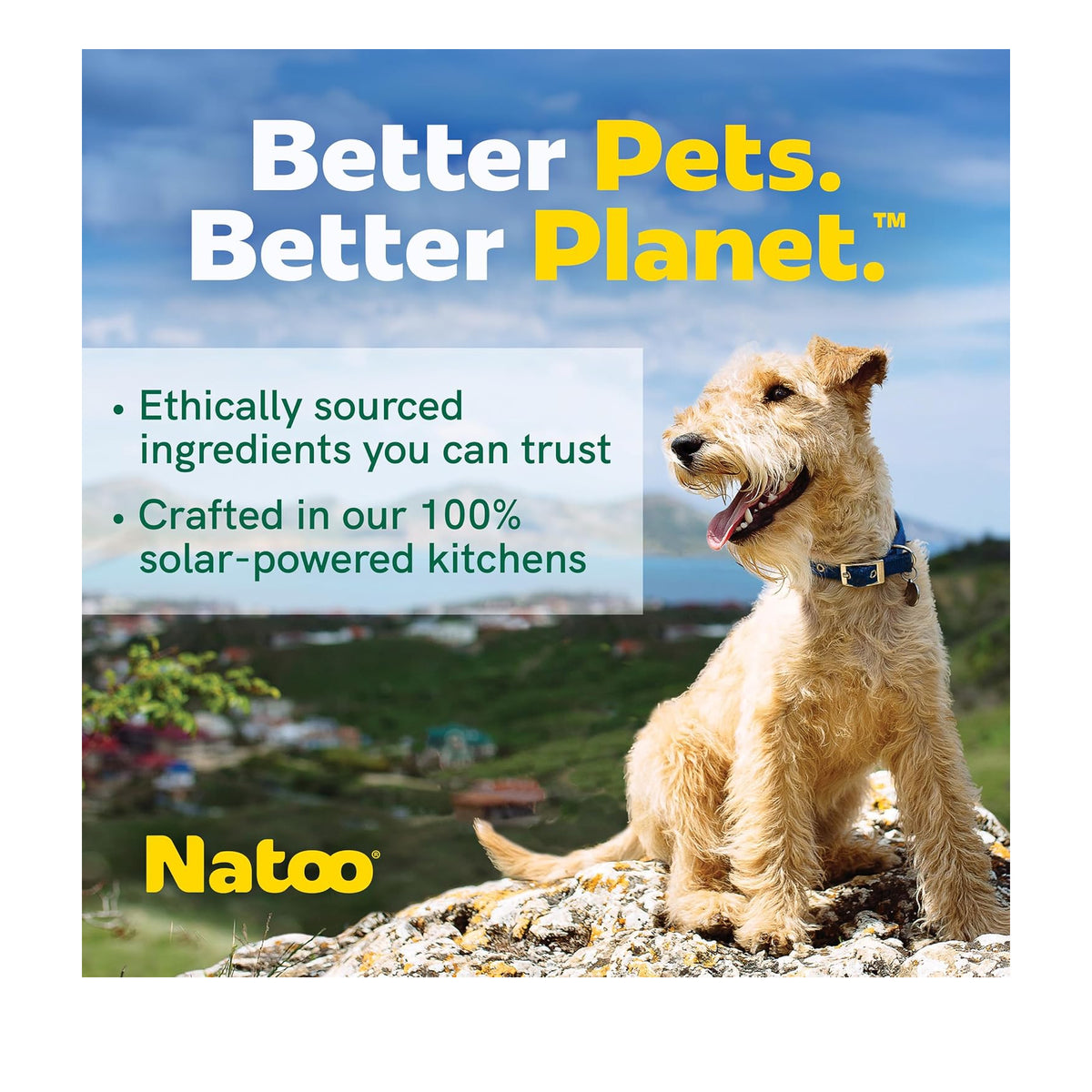 Natoo Crunchy Biscuits Sweet Potato & Pumpkin