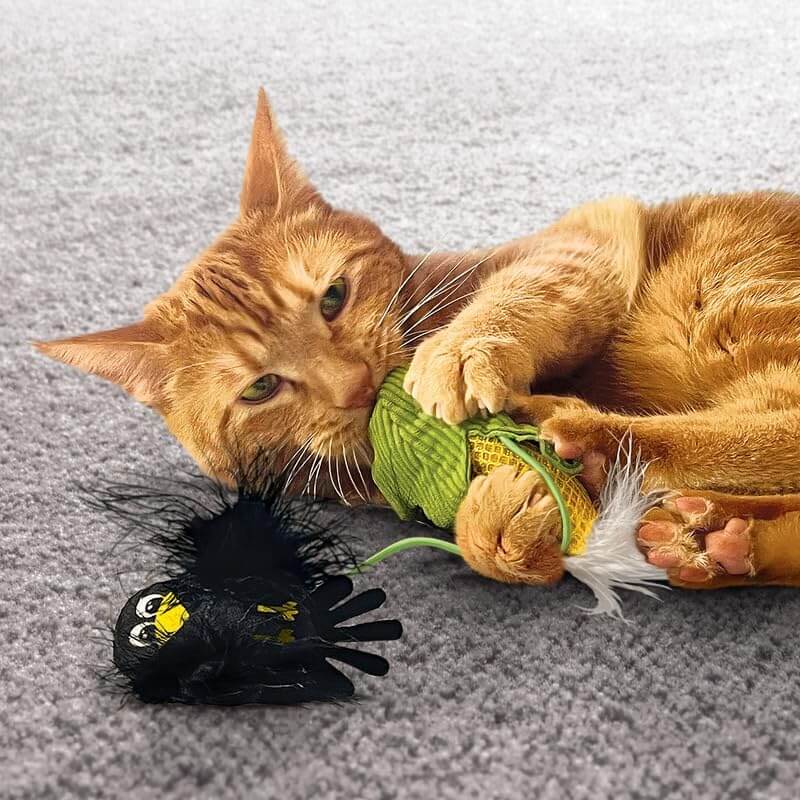 Kong Flingaroo Corny