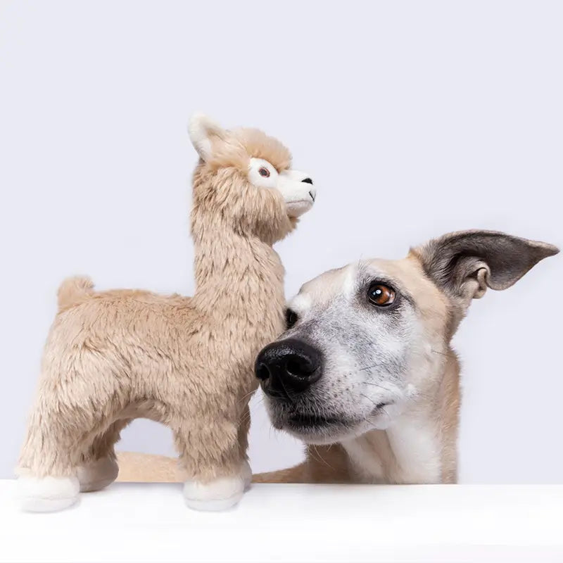 Fluff & Tuff Inca Alpaca