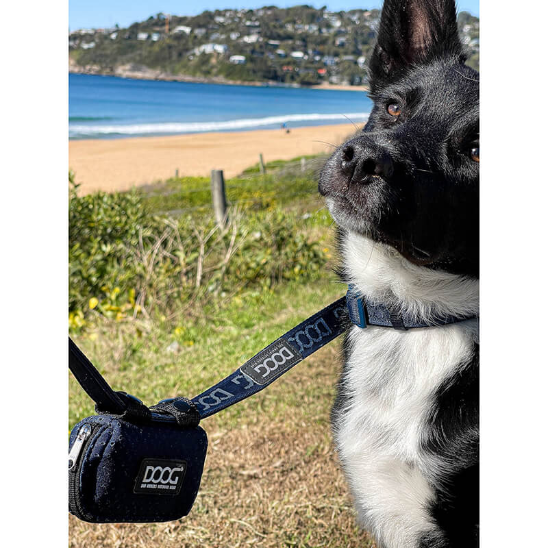 DOOG Neosport Walkie Pouch